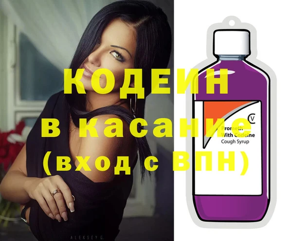 прущие грибы Абаза