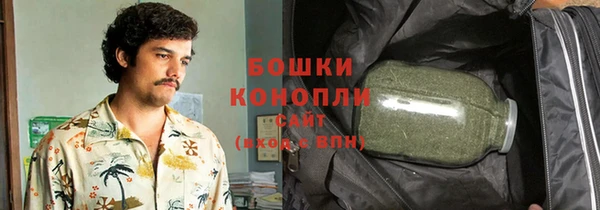 прущие грибы Абаза