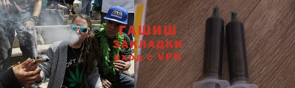 прущие грибы Абаза