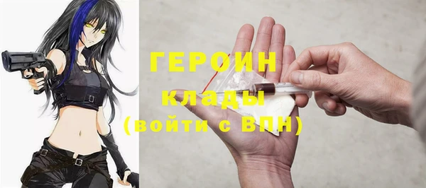 прущие грибы Абаза