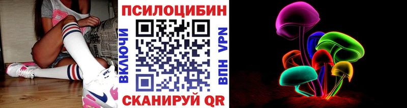 где продают наркотики  Ростов-на-Дону  нарко площадка как зайти  Галлюциногенные грибы Cubensis 